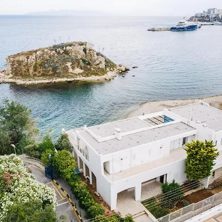 Hostel Bedwave Seaside Mansion *